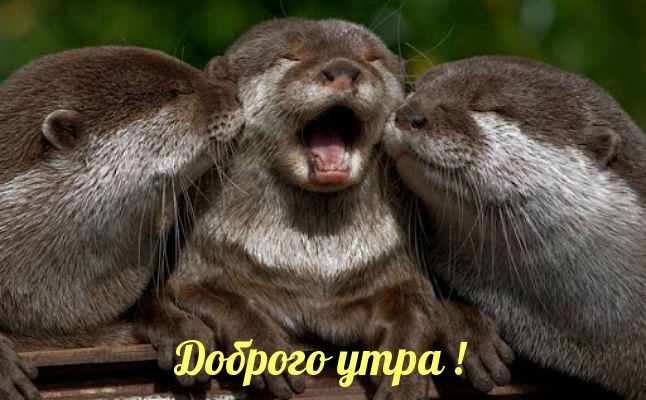 ������� ����! �� ����