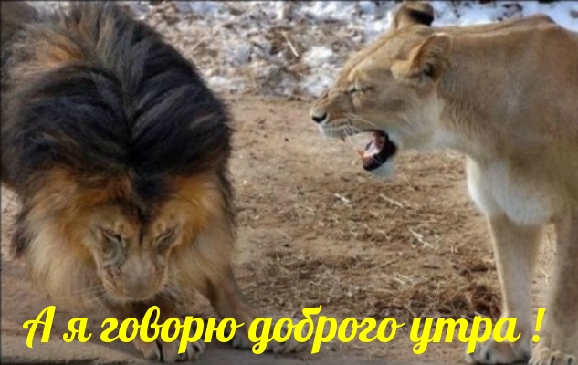 � � ������ ������� ����!