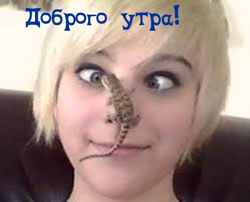 ������� ����!