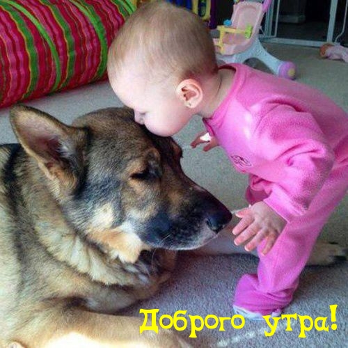 ������� ����!