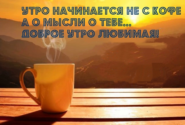 � ������ �����, �������!