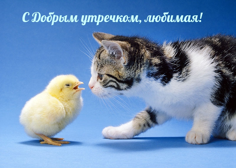� ������ ��������, �������!