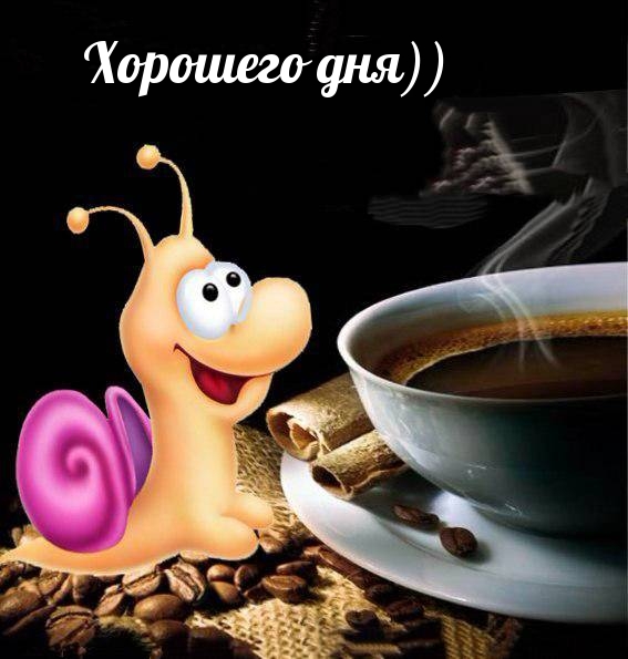 �������� ���))
