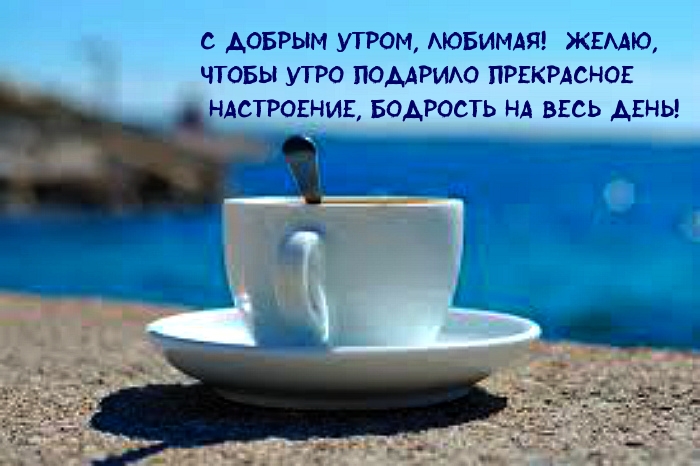� ������ �����, �������