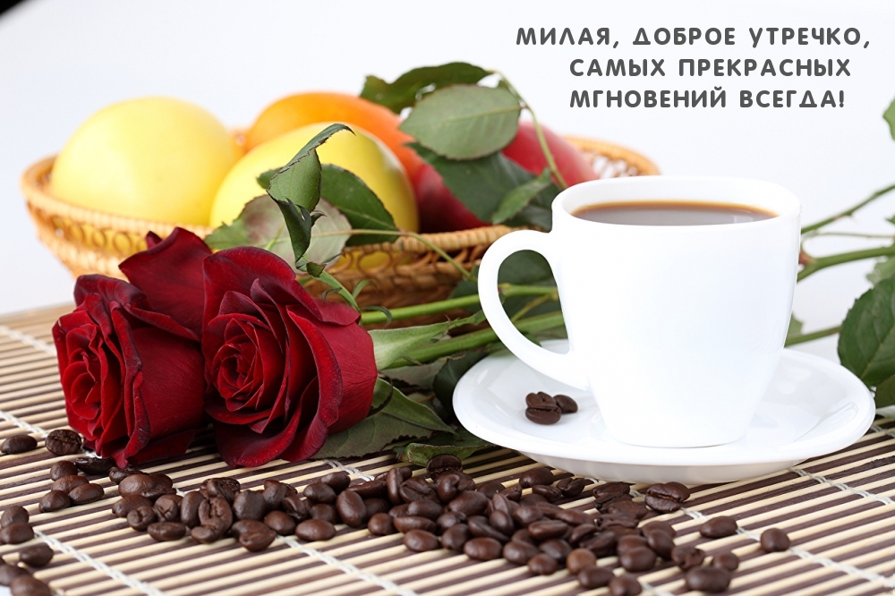 Открыть в полном размере Милая, доброе утречко!