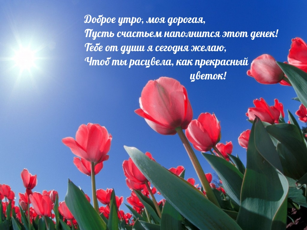 Открыть в полном размере Доброе утро, моя дорогая!