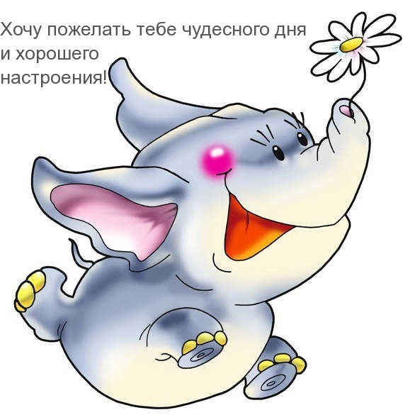 ���� �������� ���� ��������� ��� � �������� ����������!