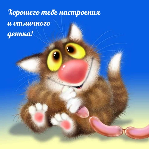 �������� ���� ���������� � ��������� ������!