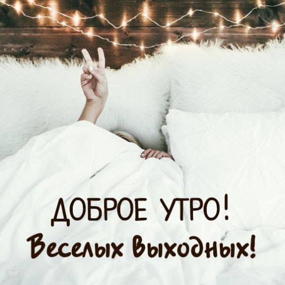 ������ ����, ������� ��������!