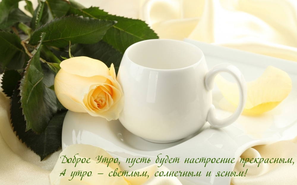 ������ ����, ����� ����� ���������� ����������
