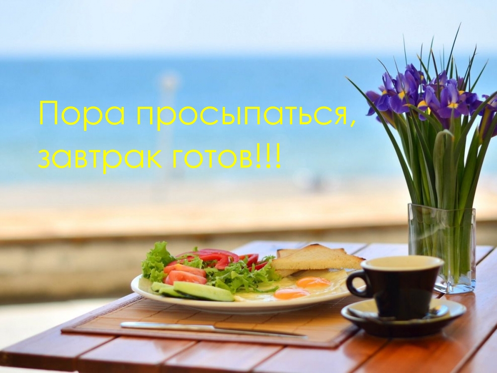 Открыть в полном размере Пора просыпаться, завтрак готов!