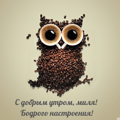 � ������ �����, ����! ������� ����������!