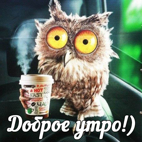 Открыть в полном размере Доброе утро!