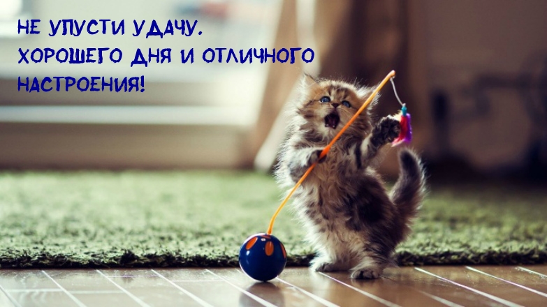 �� ������ �����. �������� ��� � ��������� ����������!