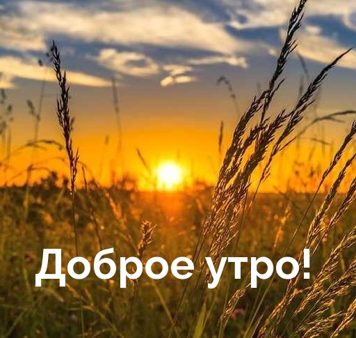 ������ ����!