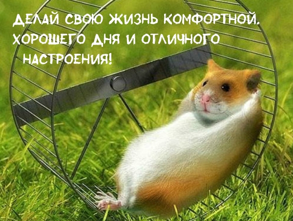 ����� ���� ����� ����������