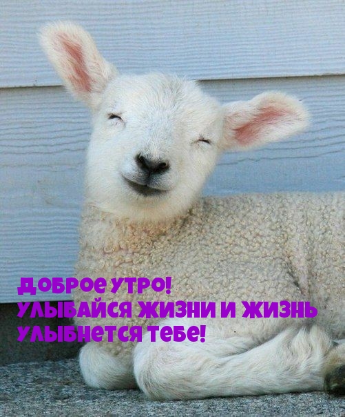 ������ ����! �������� ����� � ����� ��������� ����!