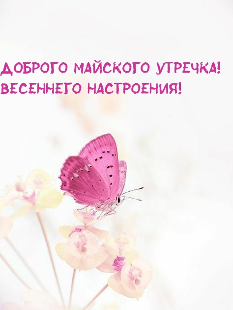 ������� �������� �������! ��������� ����������!