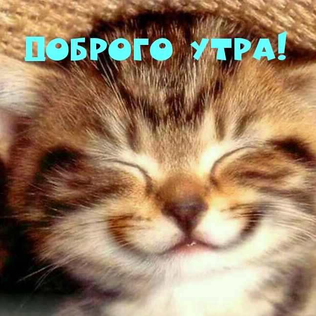 ������� ����!