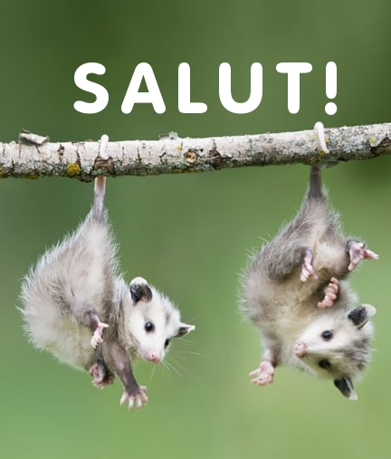 Открыть в полном размере salut!