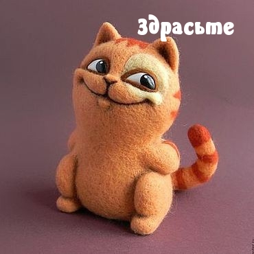 Открыть в полном размере Здрасьте
