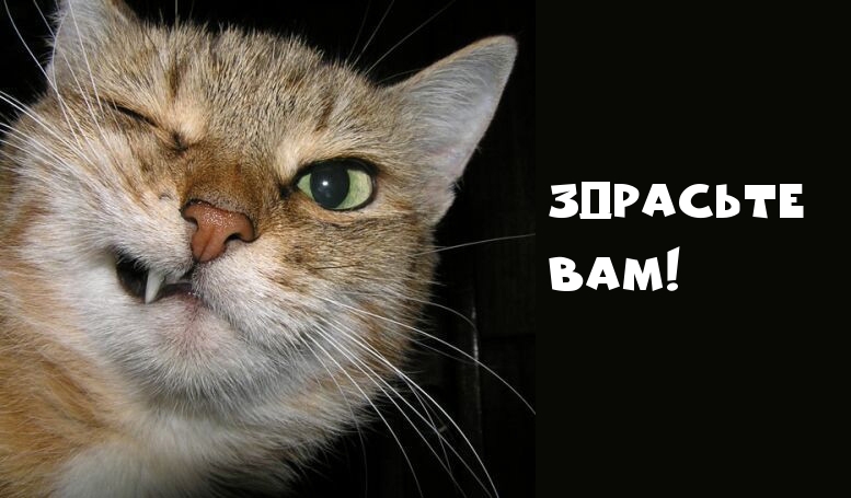 Открыть в полном размере Здрасьте вам!