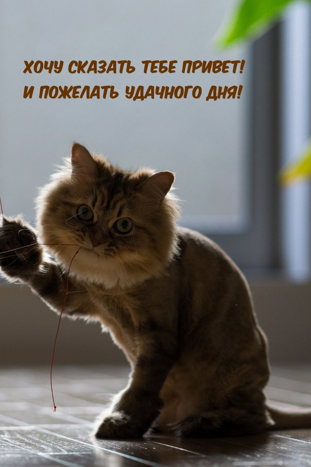 ���� ������� ���� ������! � �������� �������� ���!