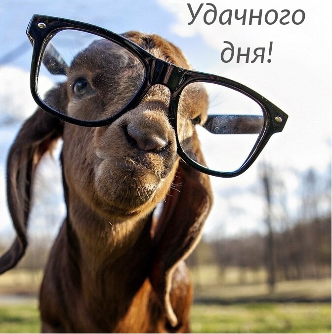 �������� ���!