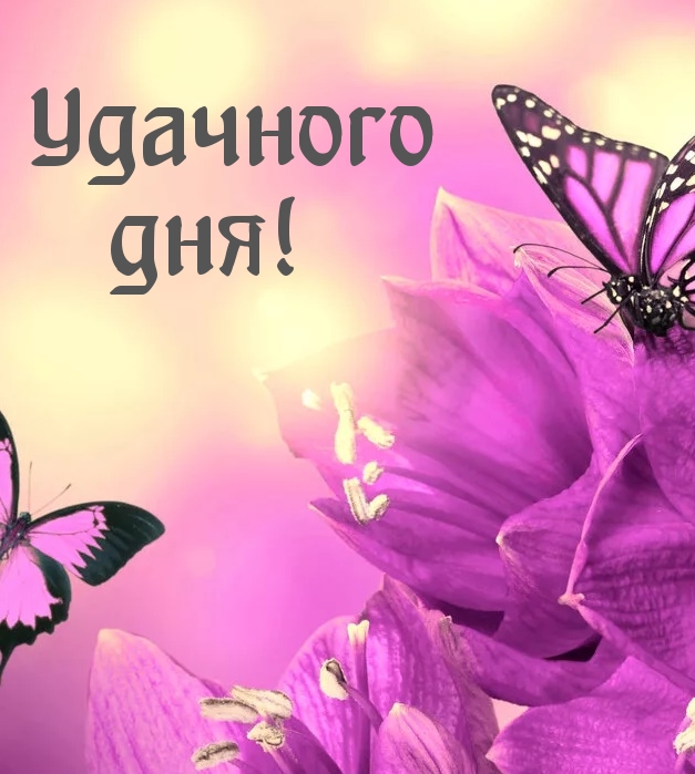 Открыть в полном размере Удачного дня!