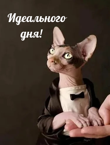 ���������� ���!