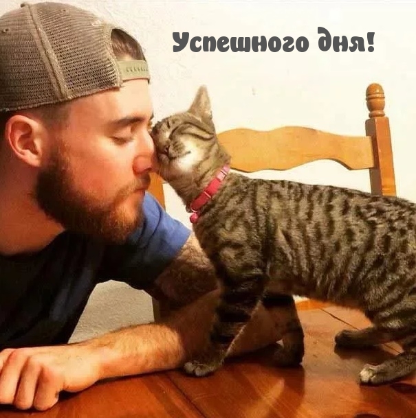 Открыть в полном размере Успешного дня!