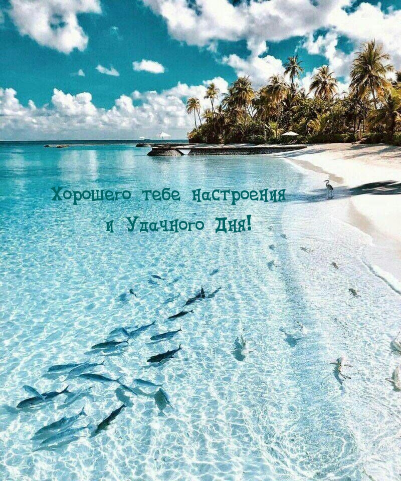 Открыть в полном размере Хорошего тебе настроения и удачного Дня!