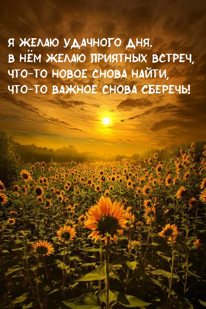 � ����� �������� ���! �������������