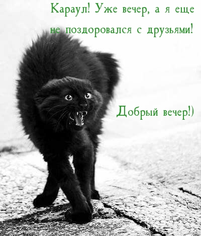 ������ �����!)  ��� �����, � � ���  �� ������������ � ��������! 