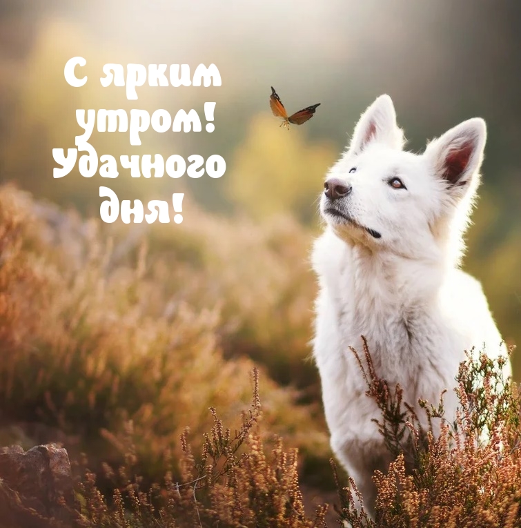 � ����� �����! �������� ���!