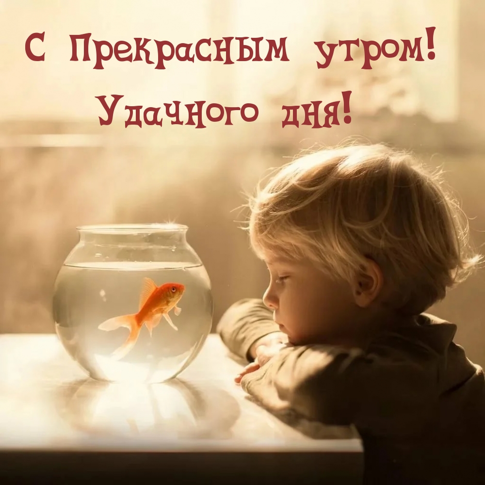� ���������� �����! �������� ���!