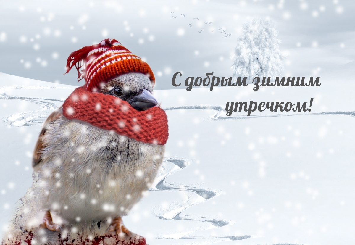 � ������ ������ ��������!