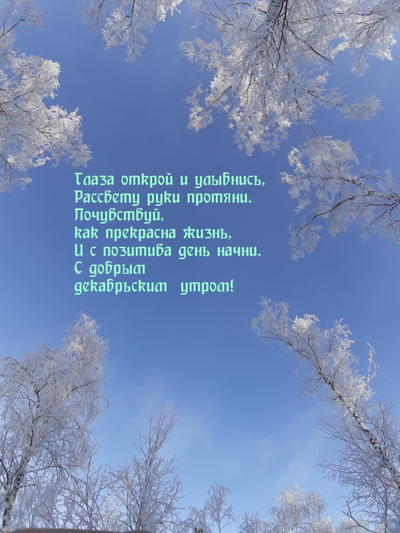 ����� ������ � ��������