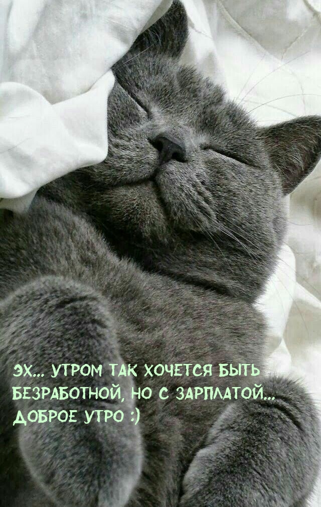 ����� ��� ������� ���� �����������