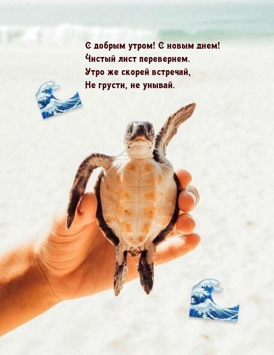 � ������ �����! � ����� ����!
