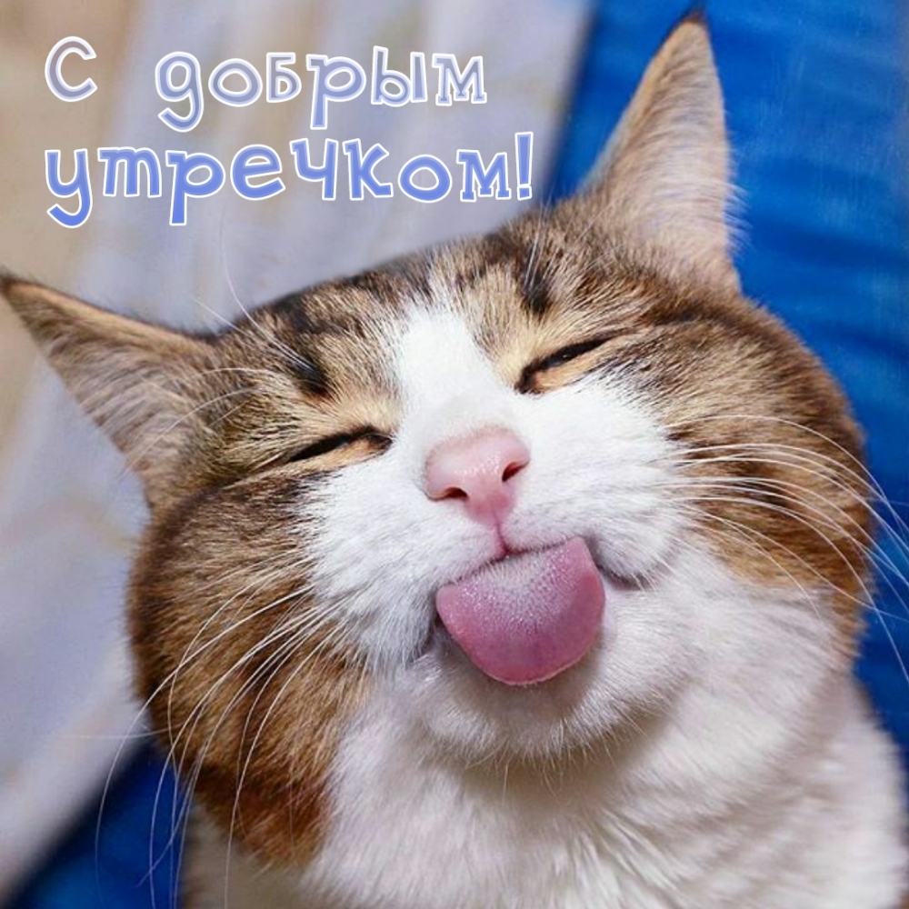 � ������ ��������!
