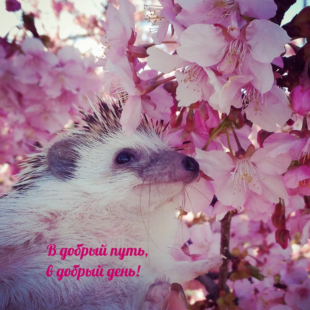 � ������ ����, � ������ ����!