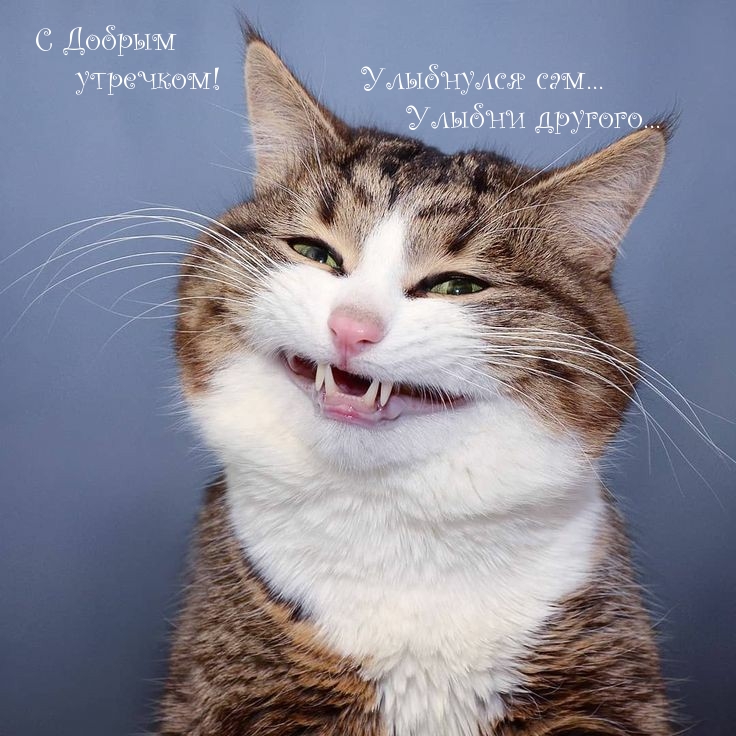  � ������ ��������! ��������� ���...