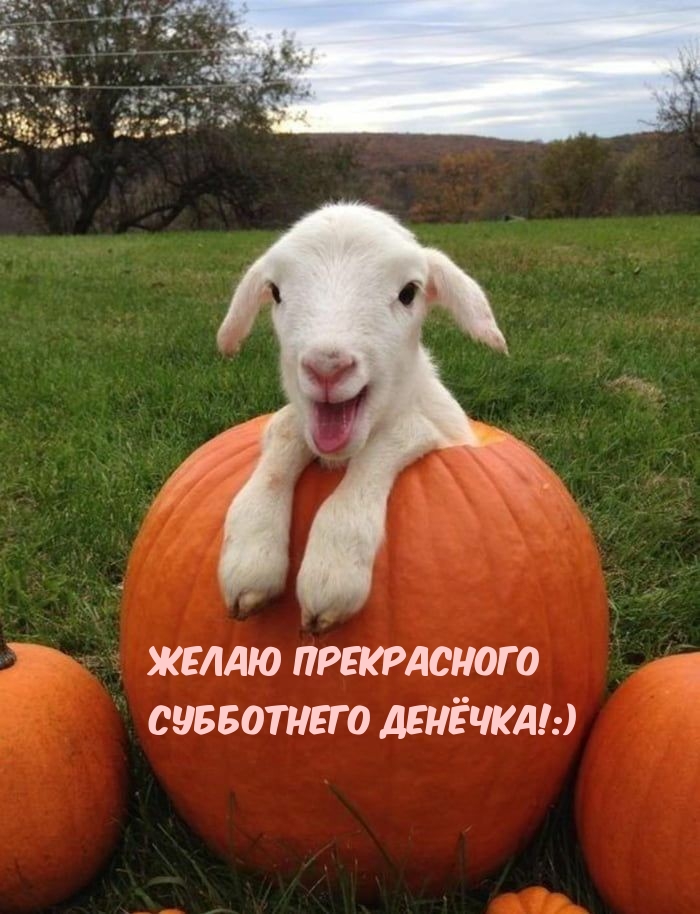 ����� ����������� ���������� �������!:)