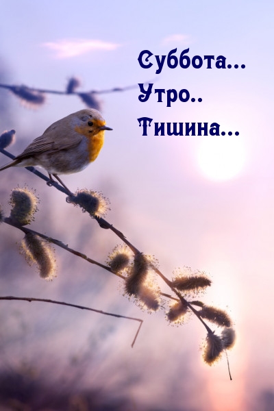 �������... ����.. ������...