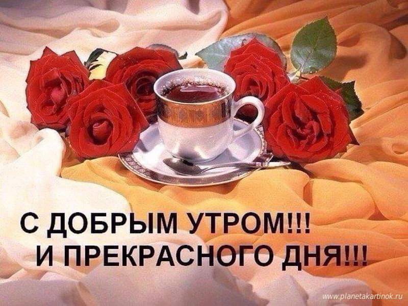 � ������ ����� � ����������� ���!