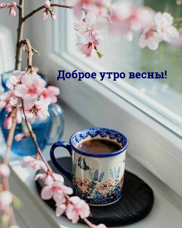 ������ ���� �����!
