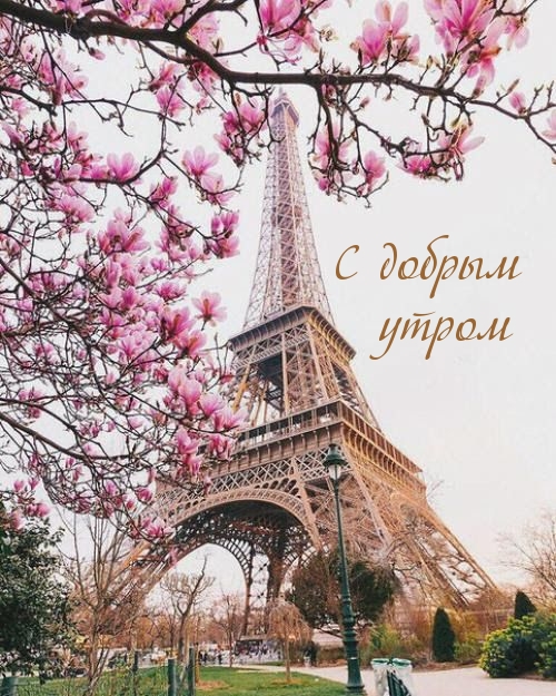 � ������ �����