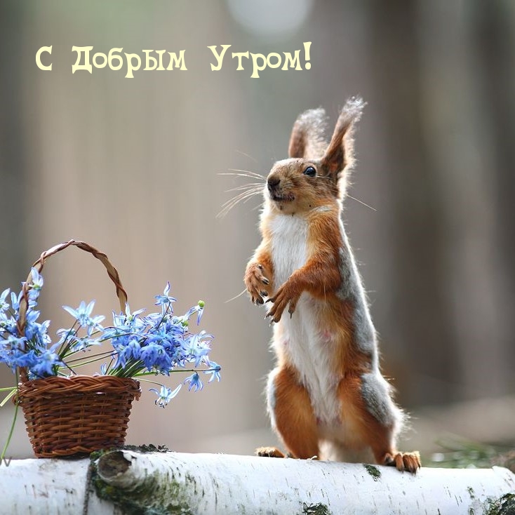 � ������ �����!