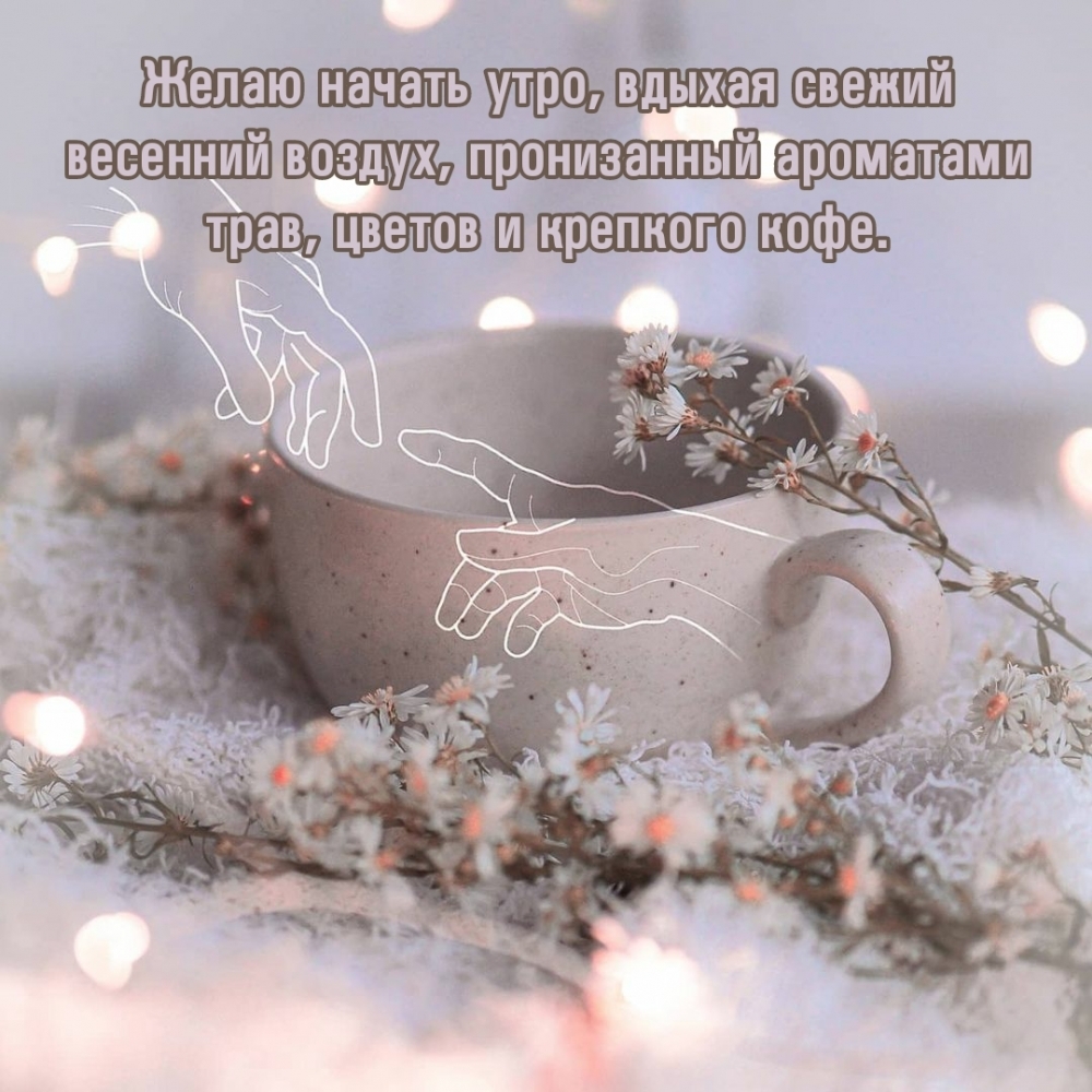 ����� ������ ����, ������ ������ �������� ������